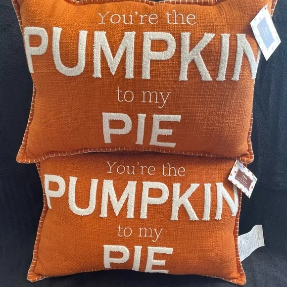 NWT Set of 2 Hobby Lobby Orange and White Accent Pillows - Picture 7 of 7